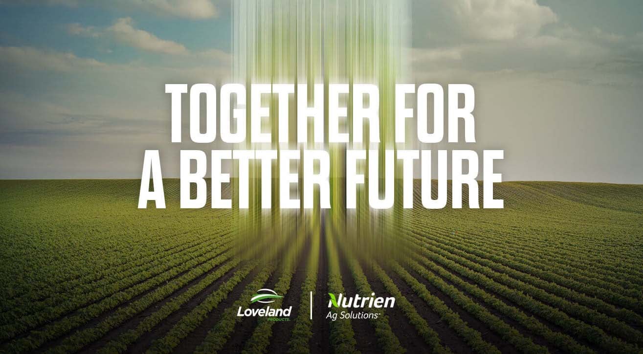 Together-for-a-better-future-blog